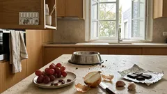 “Só desta vez”: alimentos da nossa mesa que podem fazer mal aos cães — o que evitar e o que fazer