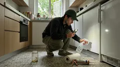 Baratas na cozinha: onde começam, onde se escondem e o que fazer em 3 passos